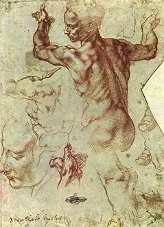 Sistine: Study for Libyan Sibyl, by Michelangelo