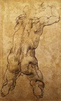Musculature: Study of a Male Nude Kneeling by Michaelangelo