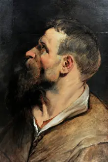 Sternberg: Study of a Man in Profile, by Rubens