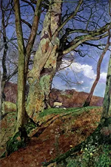 Inchbold: A Study, in March
