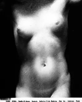 Sartorio: Study of a naked woman