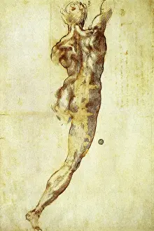 Buonarroti: Study of a Nude for The Battle of Cascina, by Michelangelo