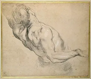 Study of a nude male Torso