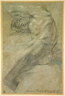 Carracci: Study of a nude Man
