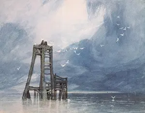 Seascapes: Study of Sea and Gulls