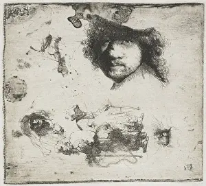 Tousled: Study Sheet: Self-portrait
