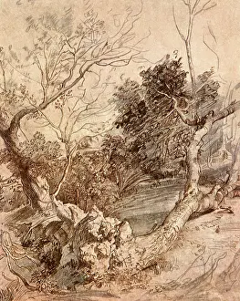 1615: Study of Trees, by Rubens