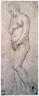 Admired: Study of Venus Artist: Raphael