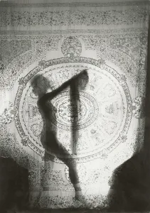 Manasse: Study of a woman behind a fine curtain