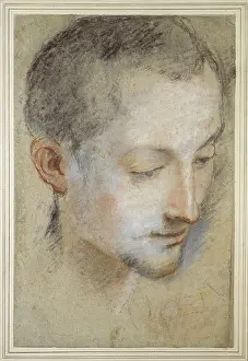 Barocci: Study of a young Man's Head