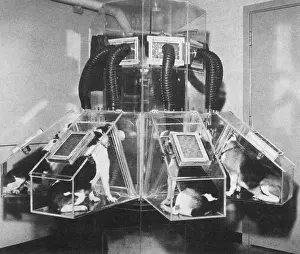 Radioactive: Studying Radiation Effects