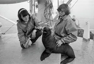 Fisheries: Studying of seals