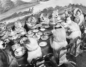 Taxidermy: Stuffed kittens at a lunch table