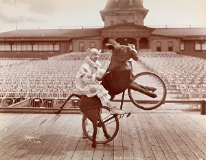 Bicyclist: Stunt cyclist