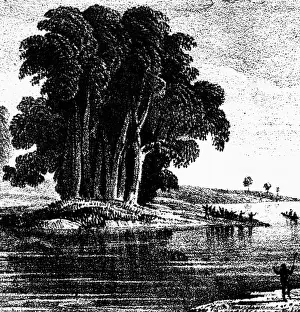 Sturt: Sturt, Charles, 28.4.1795 - 16.6.1869, British