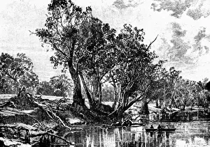 Sturt: Sturt, Charles, 28.4.1795 - 16.6.1869, British