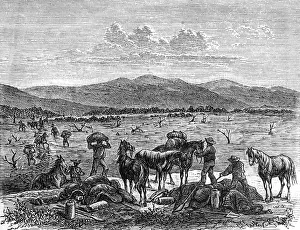 Sturt: Sturt, Charles, 28.4.1795 - 16.6.1869, British