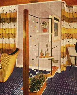 Separating: Stylish domestic interior