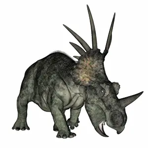 Styracosaurus: Styracosaurus dinosaur