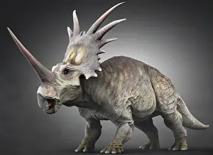 Styracosaurus: Styracosaurus dinosaur