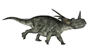 Styracosaurus: Styracosaurus dinosaur running