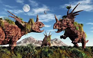 Styracosaurus: Styracosaurus dinosaur sculptures