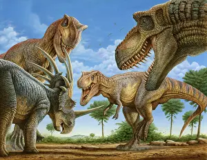 Styracosaurus: A Styracosaurus dinosaur is surrounded by a group