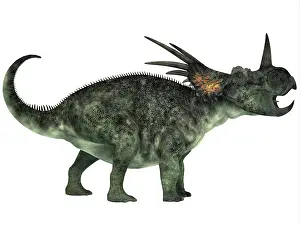 Styracosaurus: Styracosaurus, a herbivorous ceratopsian dinosaur
