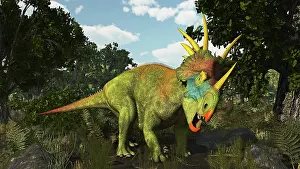 Styracosaurus: Styracosaurus, a horned dinosaur