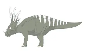 Styracosaurus: Styracosaurus pencil drawing with digital color