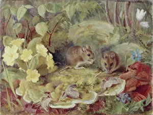 Letitia: Sub tegmine fagi ' Mice and Primroses