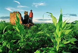 Subsistence: Subsistence farmer on land repossessed