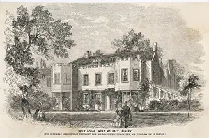 Molesey: SUBURBAN RESIDENCE