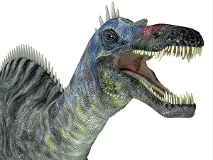 Menacing: Suchomimus dinosaur head