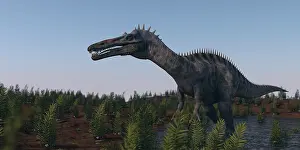 Suchomimus: Suchomimus dinosaur in a prehistoric environment