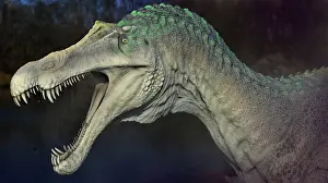 Snout: Suchomimus dinosaur, side profile