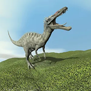 Suchomimus: Suchomimus dinosaur roaring