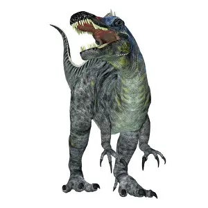 Menacing: Suchomimus dinosaur, front view