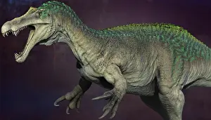 Claw: Suchomimus dinosaur, side view on colored background
