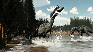 Suchomimus: Two Suchomimus dinosaurs catch a fish and shark