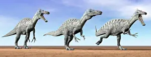 Suchomimus: Three Suchomimus dinosaurs standing in the desert