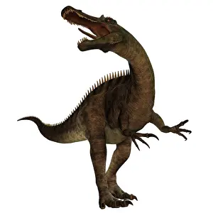 Howling: Suchomimus, a large spinosaurid dinosaur