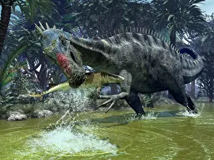 Suchomimus: A Suchomimus snags a shark from a lush estuary