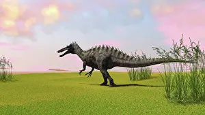 Suchomimus: Suchomimus walking across a grassy field