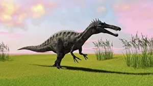 Suchomimus: Suchomimus walking across a grassy field