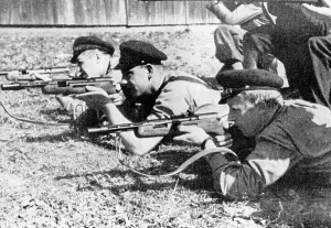Paramilitary: Sudeten German Freikorps, 1938