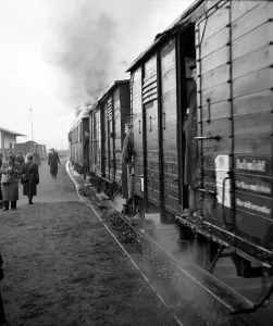 Forcibly: Sudetenland - deportation of Germans