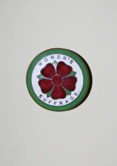 Petalled: Suffrage Badge N.U.W.S.S