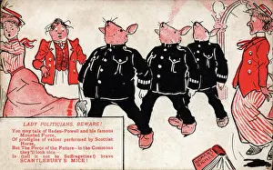 Theyll: Suffragette, Beware Scantlebury's Mice