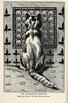 Suffragette Cat Behind the Grille